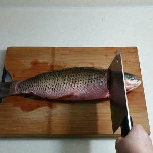 The practice measure of tomato squirrel fish 3