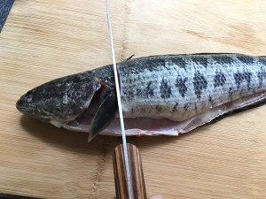 The practice measure of fish of pickled Chinese cabbage 2