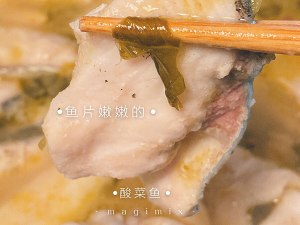 Magimix Majiesi the practice measure of fish of quick worker pickled Chinese cabbage 4