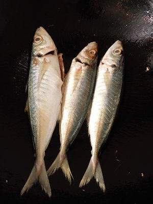 Good food of go with rice of go with wine: The practice measure of Chi juice carbonado 2