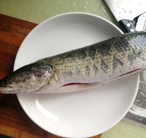 Fish of pickled Chinese cabbage of the daily life of a family (snakeheaded fish) practice measure 1
