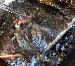 Stew fish (the prescription that master of fish of hotel boil in a covered pot over a slow fire gives) practice measure 6