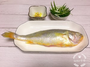 The practice measure of bright evaporate yellow croaker 1