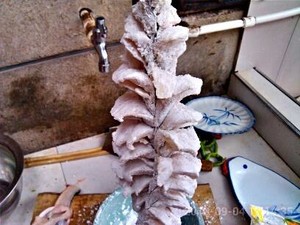 The practice measure of pine nut fish 3