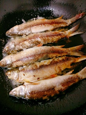 The practice measure of fish of delicious small impurities 3