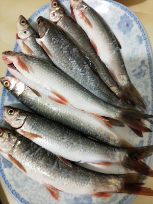 The practice measure of fish of delicious small impurities 2