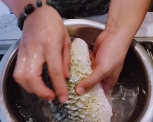 The whole world had better have sciuroid fish (domestic edition) practice measure 4