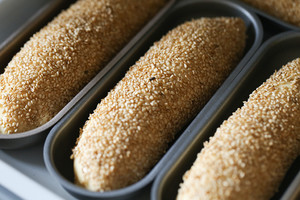 The practice measure of aroma tuna biscuit 14