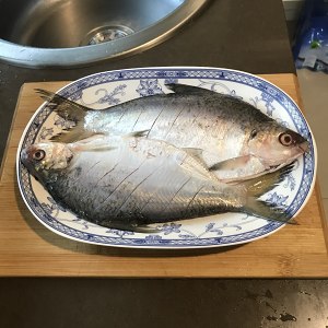 単純な機密性の厳しいタケノコの醤油で煮込みの魚を超える練習対策1
