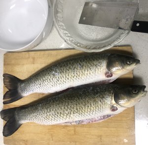  魚の魚の白菜の漬け物 〜コイル状の魚肉のスライスのチュートリアルを沸騰させる水、「> </li> <li class = 