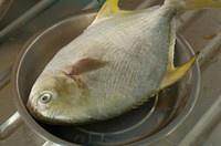 The practice measure of fish of sweet decoct storehouse 1