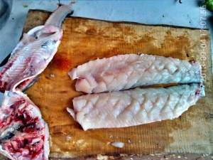 The practice measure of pine nut fish 2