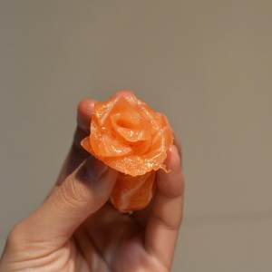 The practice measure of rose of 3 article fish 5