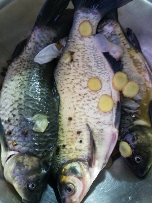 Boiler falling to boil directly when carbonado is incorrect, learn this practice to burn the fishiness that come out to delicious Shang Zhinong is stiff still not the practice measure of raw meat or fish 1