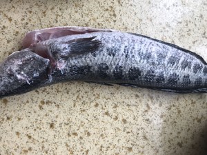 The practice measure of fish of boiler of boil in water for a while 1