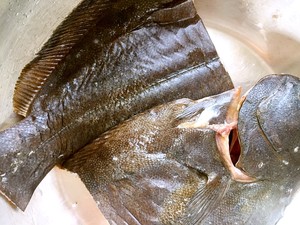 Stew fish (the prescription that master of fish of hotel boil in a covered pot over a slow fire gives) practice measure 2