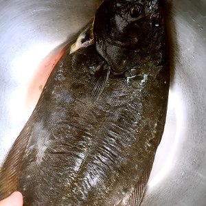 Stew fish (the prescription that master of fish of hotel boil in a covered pot over a slow fire gives) practice measure 1