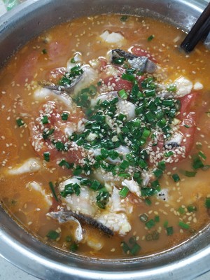 The practice measure of tomato fish 5