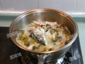 The practice measure of fish of Shang Xianyu's tender pickled Chinese cabbage 15