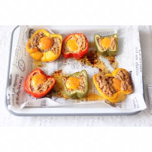 The practice measure of boat of any of several hot spice plants of colour of egg of the tuna that bake 9