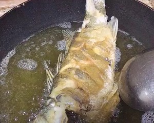 The practice measure of fish of vinegar of braise in soy sauce 2