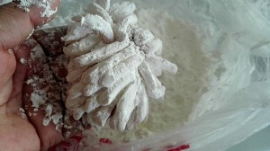 The practice measure of chrysanthemum fish 8
