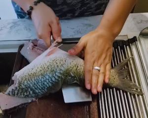 The whole world had better have sciuroid fish (domestic edition) practice measure 2