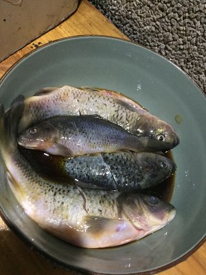 The practice measure of beautiful fish of acerbity hot standing grain 3