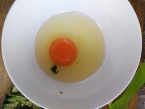 Egg of evaporate of bean curd of fruit of oil of ox of 3 article fish 9+ darling complementary the practice measure that feed 3