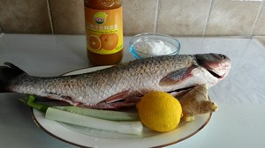 The practice measure of chrysanthemum fish 1