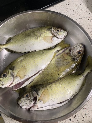The practice measure of fierce fish of mud of evaporate of silk of ginger of dried tangerine or orange peel 1