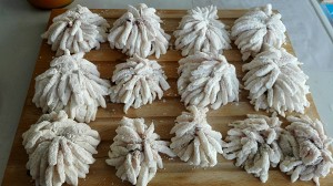 The practice measure of chrysanthemum fish 9