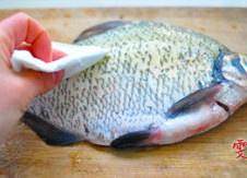 The practice measure of fish of large fortune spread its tail 1