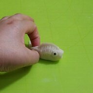 The practice measure of crystal fish dumpling 17