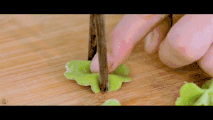 The practice measure of range of fruit vegetables butterfly 15