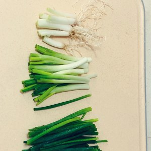 クイックワーカーグリーン1の醤油を添えた油っこい麺の実践測定