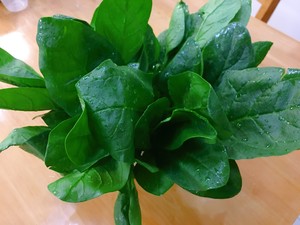 Face of spinach of delicate hand roll, the loves most practice measure of family 1