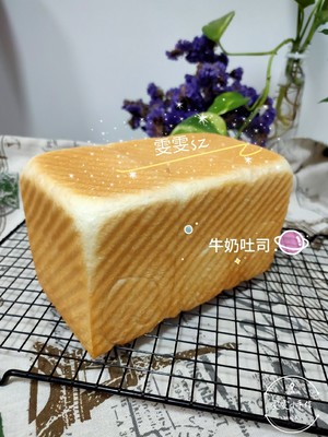 古い範囲が唾を吐く部門と小さな食事袋12への直接的な方法を追加する練習対策