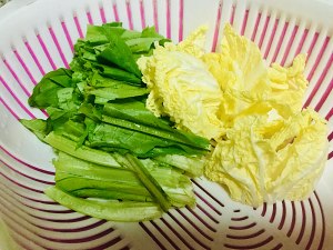 異なる顔1の練習尺度