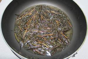 Quick worker breakfast, the practice measure of green oily noodles served with soy sauce 5