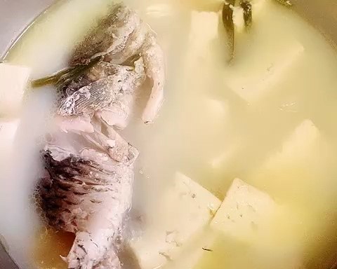 
Soup of bean curd of crucian carp fish - the novice's practice, how to do delicious