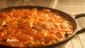 Flesh of drumstick of the tomato dawdle that stew [boreal vessel cookbook] practice measure 8