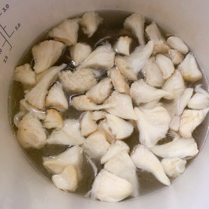 The practice measure of soup of bone of pig of lily of hedgehog hydnum stay of proceedings 11