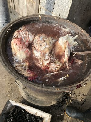The chicken broth that stew from catch initial practice move 3