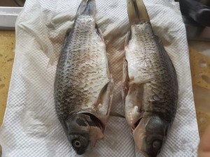 The practice measure of soup of crucian carp fish 5