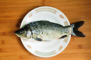 3 crucial step let soup of fish of crucian carp of boiled in clear soup you stew a delicacy of Shang Nong flavour easily the practice measure of the soup of crucian carp fish that lubricious Bai Shi suckles 1