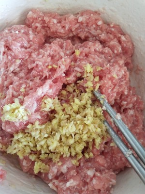 Boiled dumpling of hotpot caraway stuffing (soup of steamed stuffed bun, hamburger, a round mass of food) practice measure 6