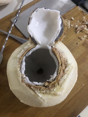 Coco chicken [teach coconut blueness] practice measure 8