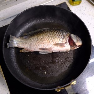Suckle soup of bean curd of fish of white crucian carp | The tender practice step with a final fish 2