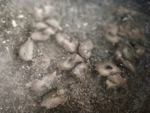 Gallinaceous fine and soft is holothurian the practice measure of soup 16